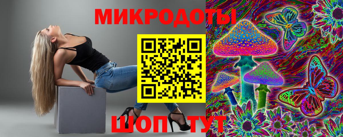 Псилоцибиновые грибы мухоморы  что такое   Камышлов  Вход с VPN  Псилоцибиновые грибы прущие грибы 